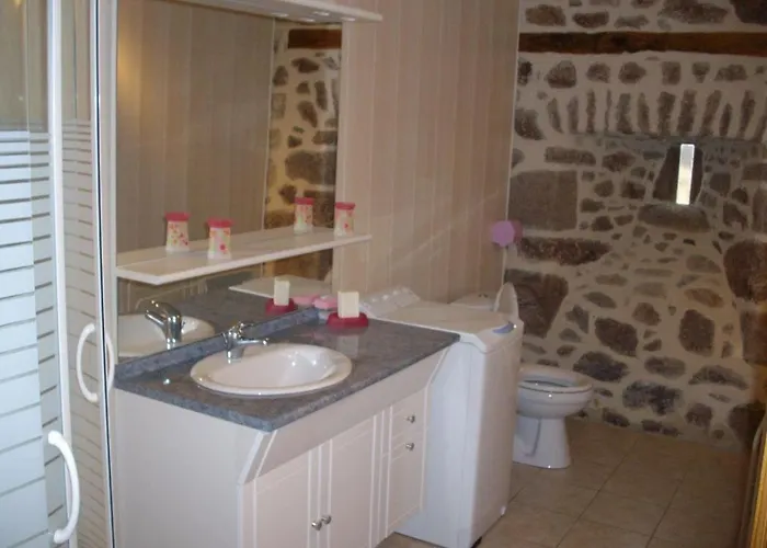 Le Rosier Holiday home Saint-Mamet-la-Salvetat